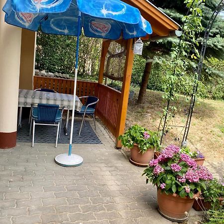 Apartament Katalin App. Zalagyoengye Zalakaros Zewnętrze zdjęcie